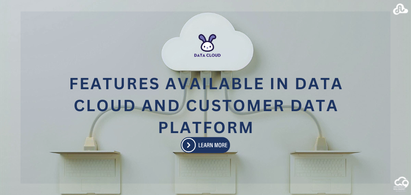 Unveiling Essential Features of Data Cloud and Customer Data Platforms.